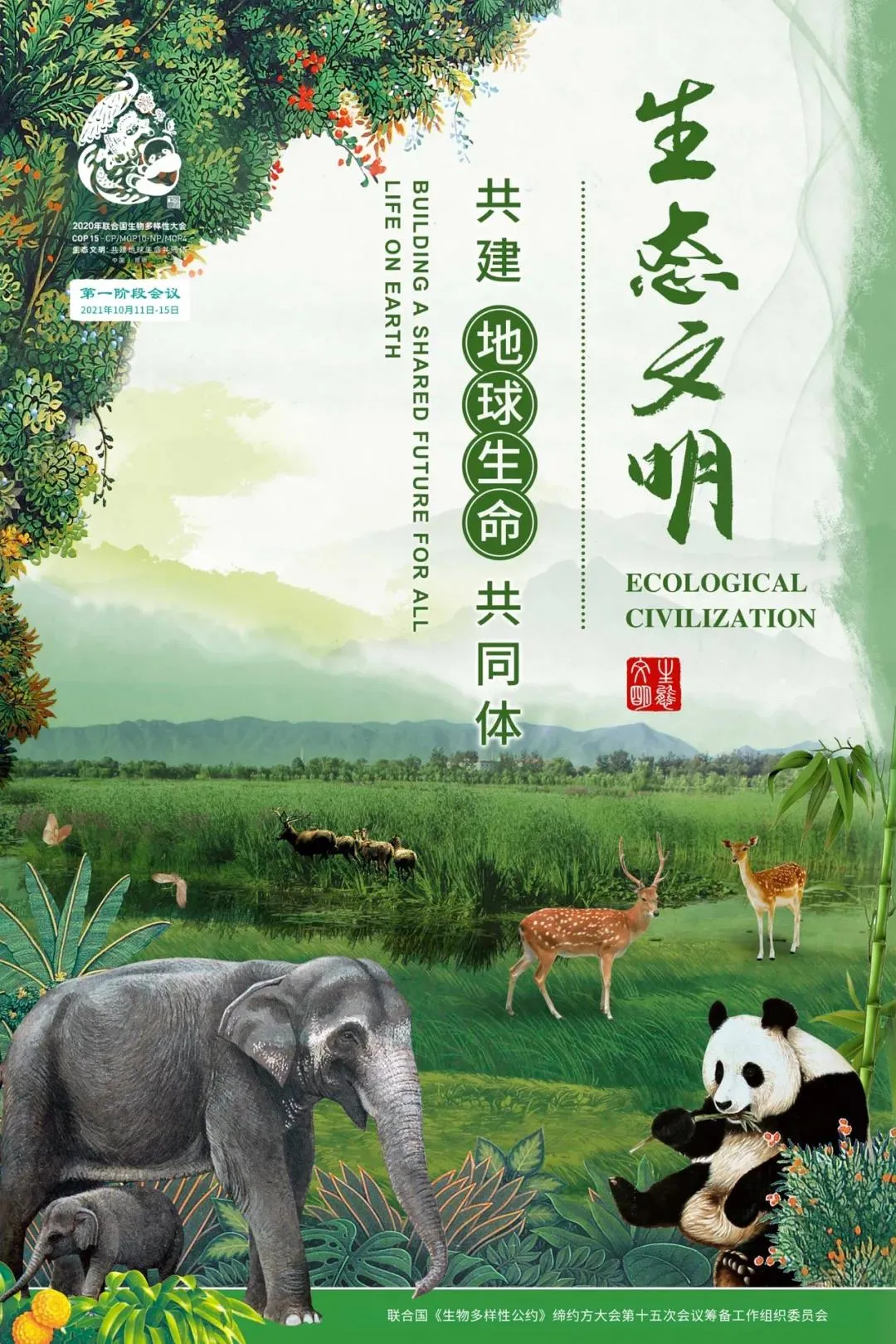 圖片
